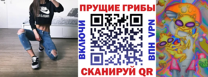 сколько стоит  Бабаево  Галлюциногенные грибы GOLDEN TEACHER 